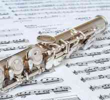 Музикален инструмент флейта. Какво е флейта?