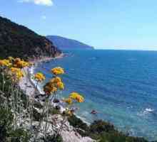 Cape Martyan - природен резерват на южния бряг на Крим. Снимки и ревюта на туристи.