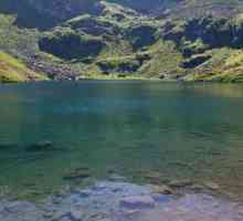 Mzy е езеро в Абхазия. Описание на резервоара, неговите характеристики, местоположение и интересни…