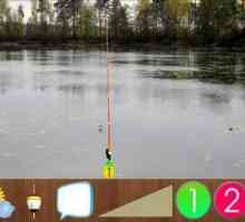 Какво да хванете в "Реалния риболов": преглед на играта и препоръки