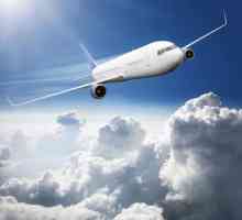 На коя надморска височина пътува самолетът за пътници? Скорост на полета на линиите