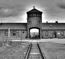 Надписът на портата на Аушвиц като въплъщение на дублиране