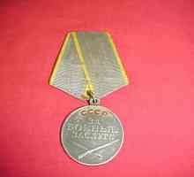 Награда на герои. Медали за военни постижения