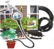 Най-изгодните и удобни напоителни системи за градината