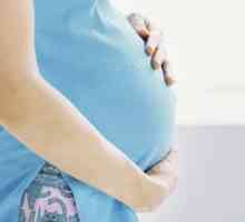 Коремни коремчета за симулиране на бременност - общ преглед, характеристики, видове и препоръки