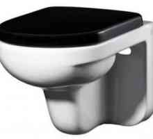 Външна тоалетна Gustavsberg ARTic 4310: описание и рецензии. Оценка на тоалетни чинии