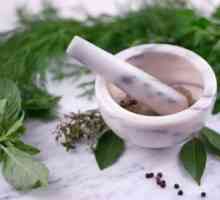 Традиционна медицина: билки за почистване на тялото
