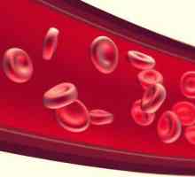 Нарушаване на притока на кръв по време на бременност: причини, симптоми, лечение