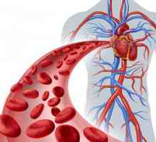 Нарушаване на периферното кръвообращение: тромбоза и емболизъм