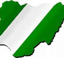 Население на Нигерия: брой. Плътност на населението в Нигерия