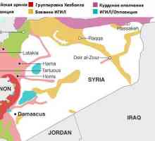 Офанзивата на сирийската армия. Специални операции в Сирия