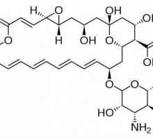 "Натамицин": инструкции за употреба. Маз, супозитории и таблетки "Натамицин"