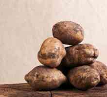 Институтът по изследване на картофите е кръстен на Лорк