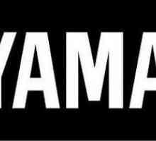 Слушалки Yamaha EPH-100: преглед, описание, функции и прегледи на собствениците