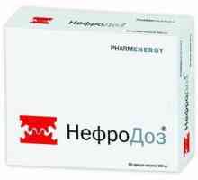 Nephrodoz: аналози на препарата, неговите свойства и състав