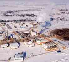 Полето за кондензат на нефт и газ на Русия (NGKM)