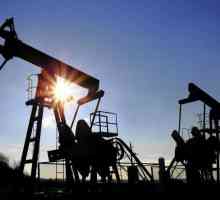 Нефтената и газовата промишленост на Русия