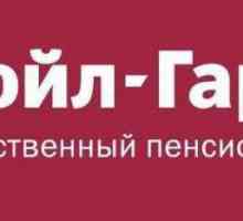 Недържавен пенсионен фонд "Лукойл-Гарант": рецензии