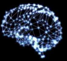 Невронна мрежа е какво? Определение, значение и обхват