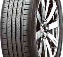 `Nexen` - автомобилни гуми: ревюта на собствениците