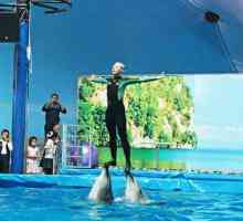 "Nemo" - прекрасен делфинариум в Алмати