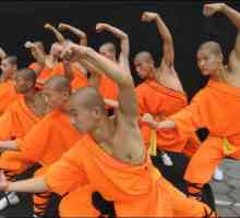 Необичайно и непредсказуемо изпълнение на филма "Шаолински монаси"