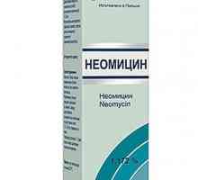 `Neomycin`: инструкции за употреба, описание, коментари, цена