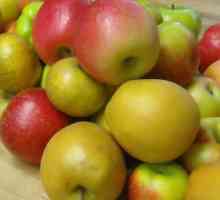 Няколко рецепти за домакинята: как да затворите ябълковия компот за зимата