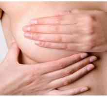 Няколко думи за красотата на гърдите или как да направите масаж за увеличаване на бюста?