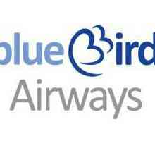 Невероятно пътуване до Крит с Blue Bird Airways