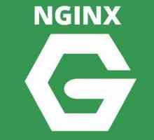 Nginx: настройка и инсталиране