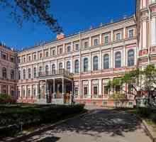 Николаевски дворец в Санкт Петербург: описание. Дворец Николаев, Санкт Петербург: екскурзии, снимки…
