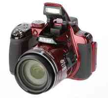 Nikon Coolpix P520 - преглед на модела, клиентски отзиви и експерти