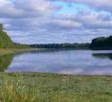 Резерват Нижнишвирски - опазване на природното наследство