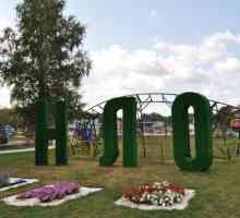 "НЛО" е парк в района Кими, Твер. Описание, функции и отзиви