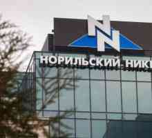 `Norilsk Nickel` - пенсионен фонд: описание, услуги, рейтинг и отзиви