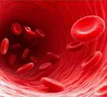 Нормата на общия протеин в кръвта на жената. Причини за аномалии