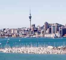 Нова Зеландия, Окланд - чудо в мястото на сблъсъка на морето и океана!