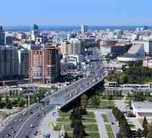 Новосибирск: 154 регион. резюме