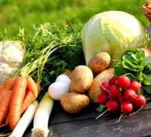 Хранителните вещества са биологично значими елементи. Съвременни хранителни вещества: описание,…