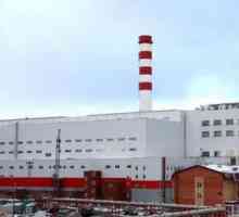 OJSC `Ural Heavy Machine Building Plant `: описание, производство и обратна връзка на…