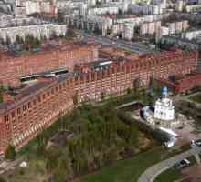 Регионална клинична болница в Ленинград: къде е, обратна връзка