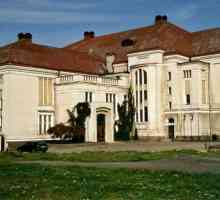 Регионален исторически и художествен музей в Калининград: описание, история и рецензии