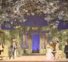Образът на градината в пиесата "Cherry Orchard" на Чехов