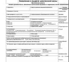 Извадка от попълване на формуляр за заявление за виза в Чешката република по покана