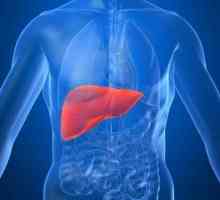 Изследване на черния дроб: списък на методите