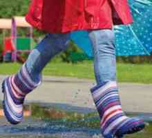 Обувки на фирма `Demar`: гумени ботуши за дъждовно време