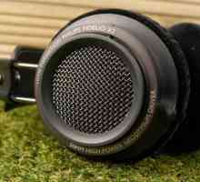 Преглед на слушалките Philips Fidelio X2