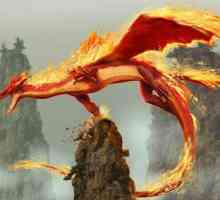 Пожар дракони - характер характеристики