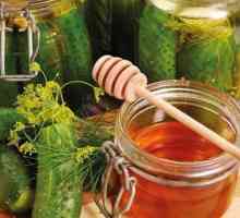 Краставици с мед: най-добрите рецепти за готвене